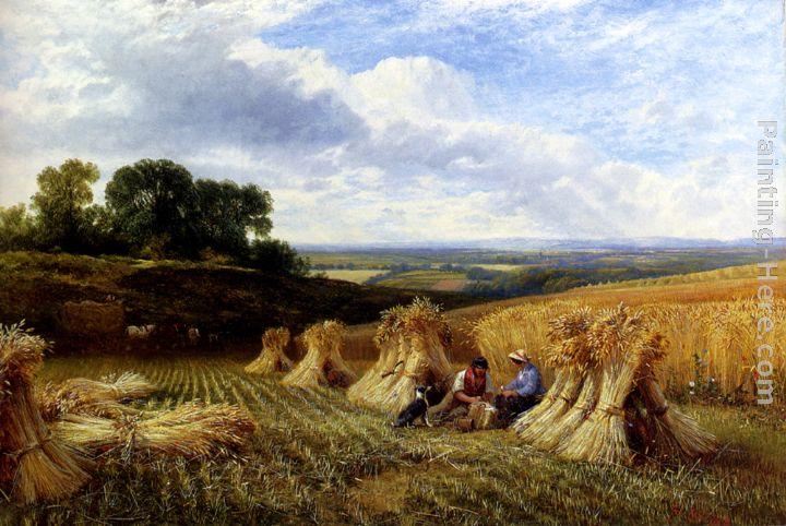 George Cole Snr Harvest Field